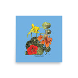 Nasturtium print poster